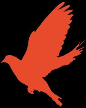 東陽重點監測企業復工率達93%，彈性織帶行業展現強勁韌性